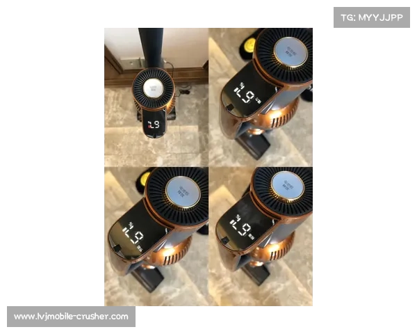 饥荒老奶奶最佳恢复生命值方法大全助你轻松生存探索