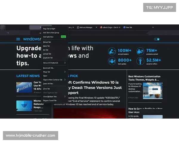 掌握火狐浏览器最新功能升级技巧全面提升上网效率与安全体验